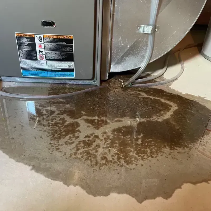 Appliance Leak Cleanup in Lytle, TX